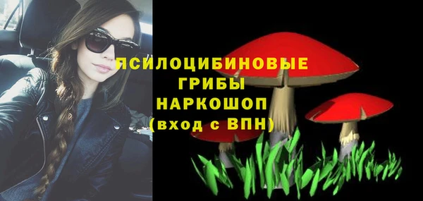 гидропоника Дмитровск