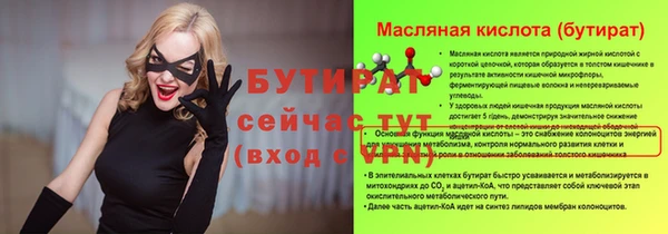 соль ск Дмитриев