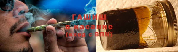 соль ск Дмитриев