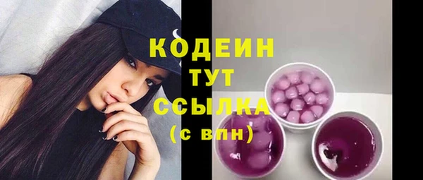 соль ск Дмитриев