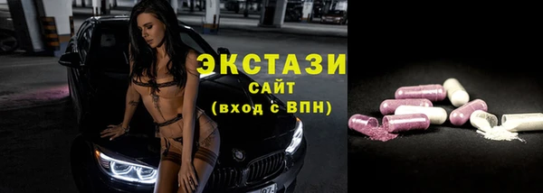 соль ск Дмитриев