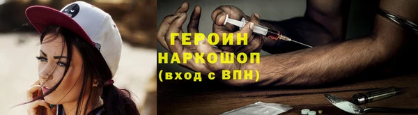 соль ск Дмитриев