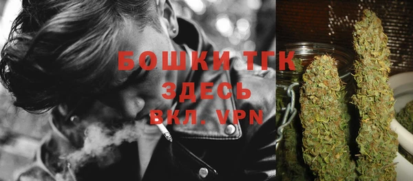 соль ск Дмитриев