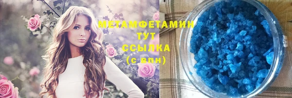 соль ск Дмитриев