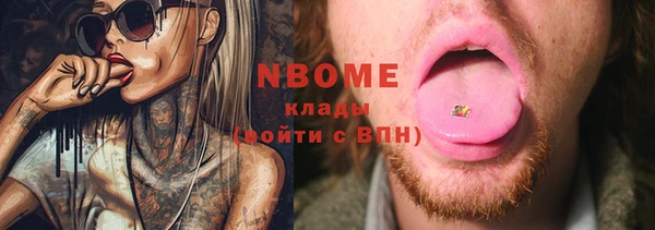 соль ск Дмитриев