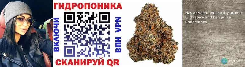 Купить где  Бирюсинск  Бошки Шишки OG Kush 